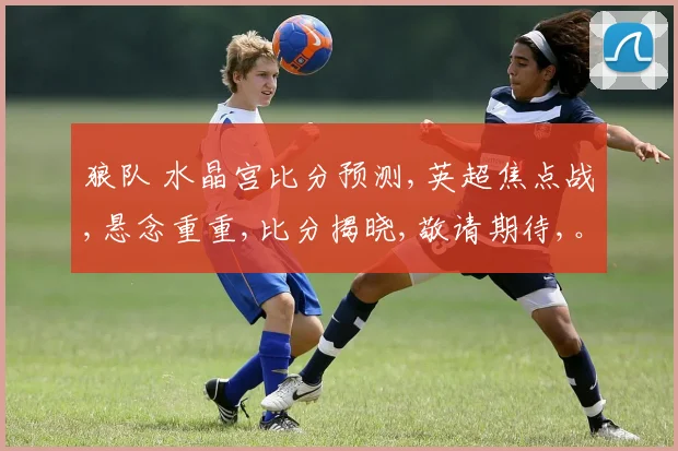 狼队 水晶宫比分预测,英超焦点战,悬念重重,比分揭晓,敬请期待,。