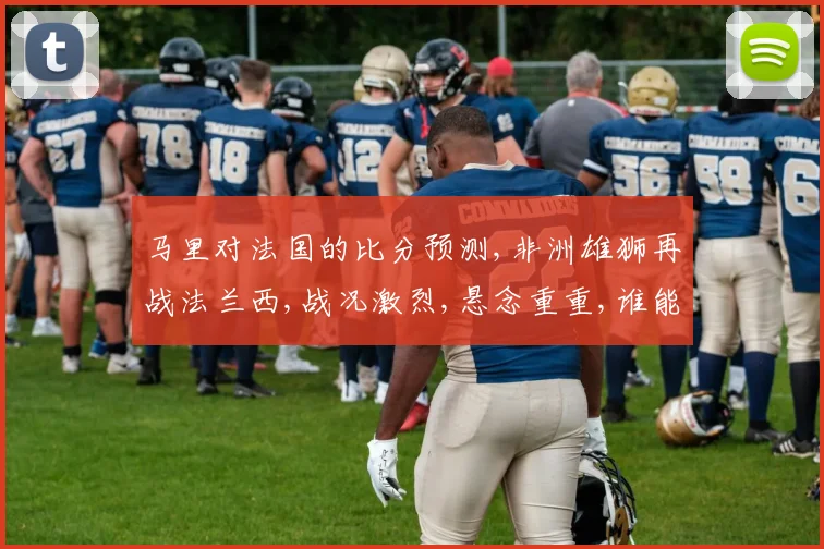 马里对法国的比分预测,非洲雄狮再战法兰西,战况激烈,悬念重重,谁能笑到最后